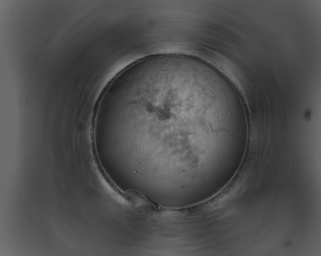 X0000093520847200710191330