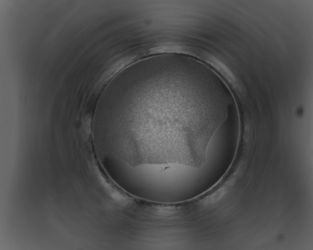 X0000093520849200710191330