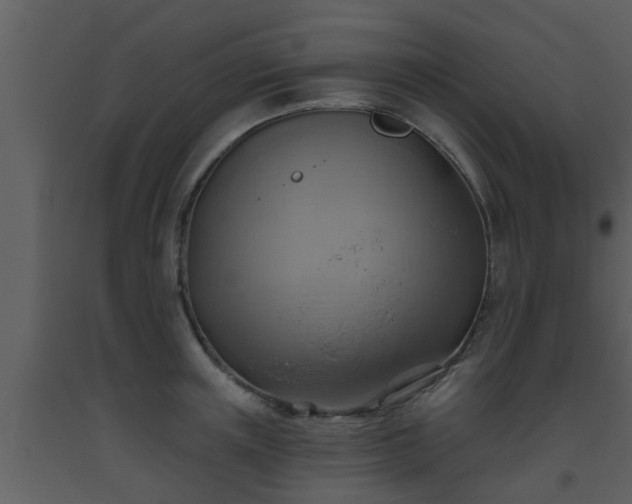 X0000093520851200710191330