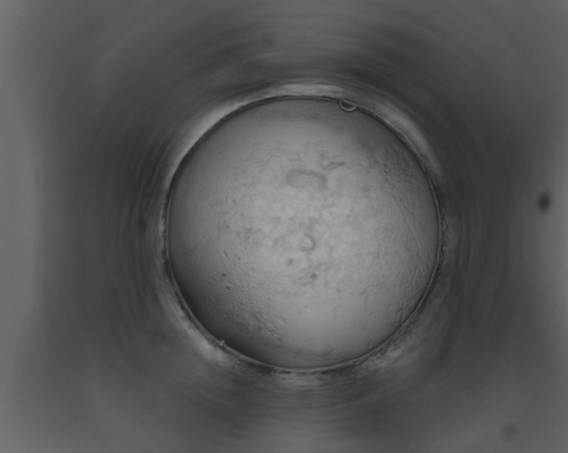 X0000093520852200710191330