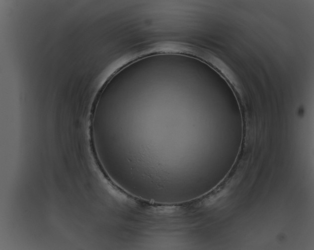 X0000093520853200710191330