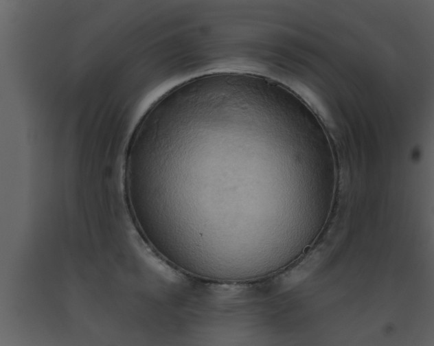 X0000093520854200710191330