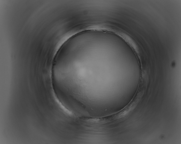 X0000093520855200710191330