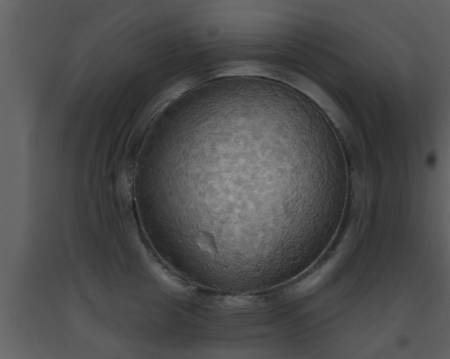 X0000093520857200710191330