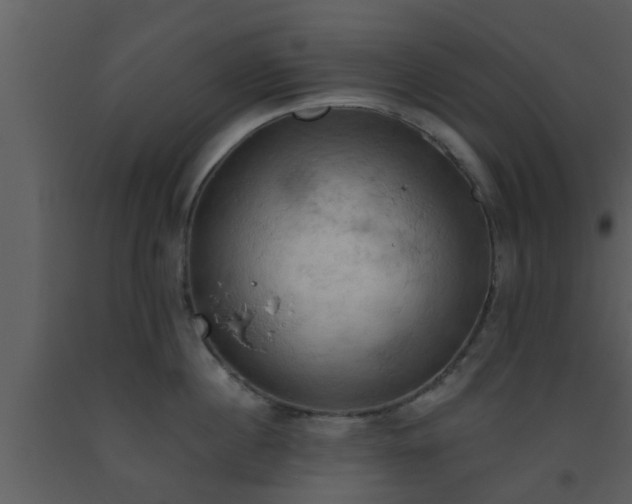 X0000093520860200710191331