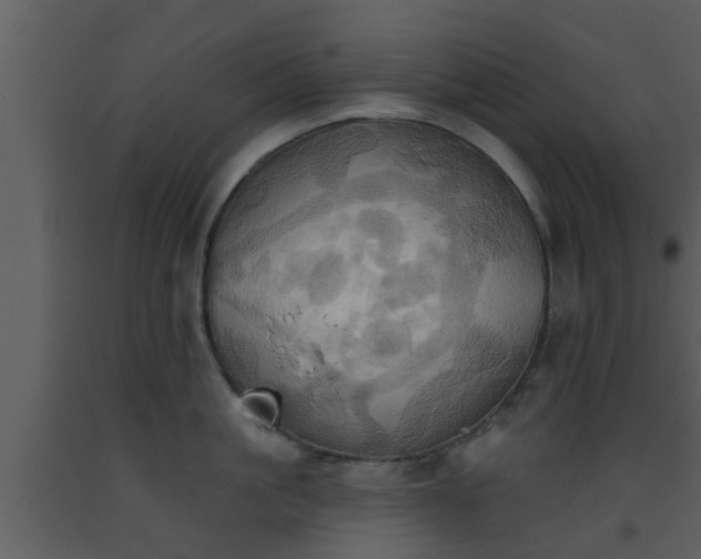 X0000093520861200710191331