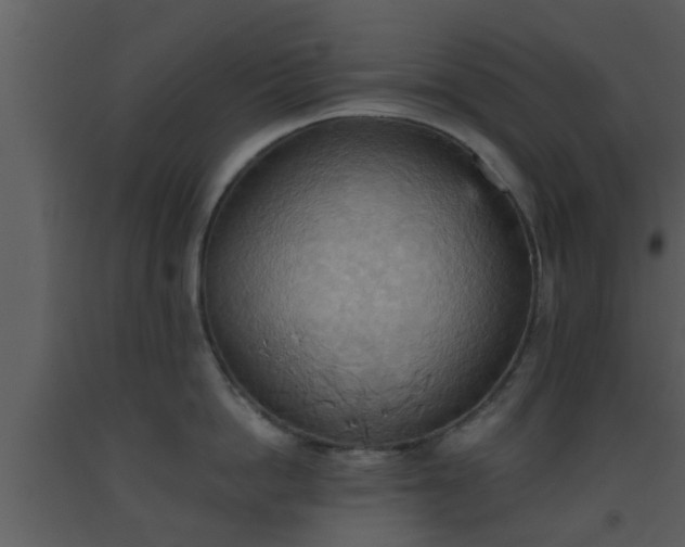 X0000093520862200710191331