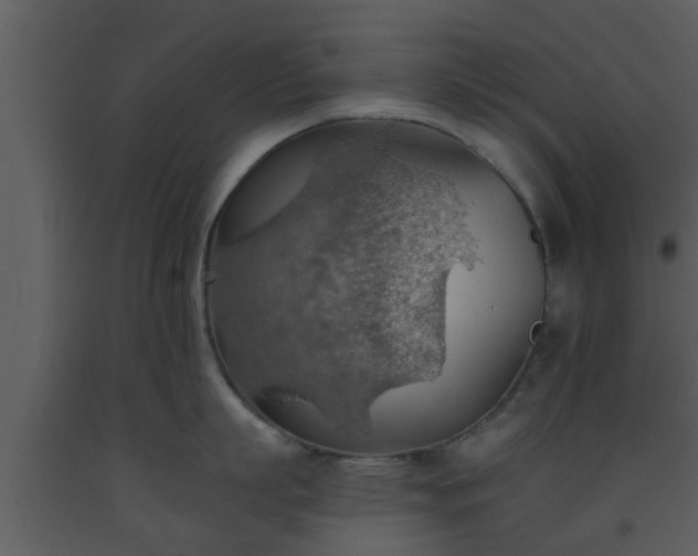 X0000093520863200710191331