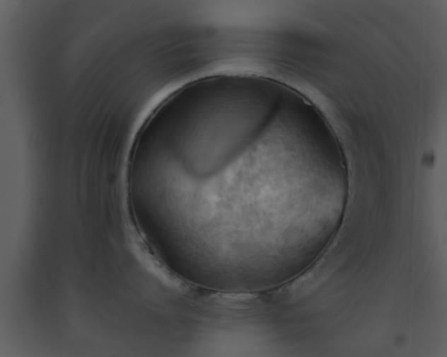 X0000093520864200710191331