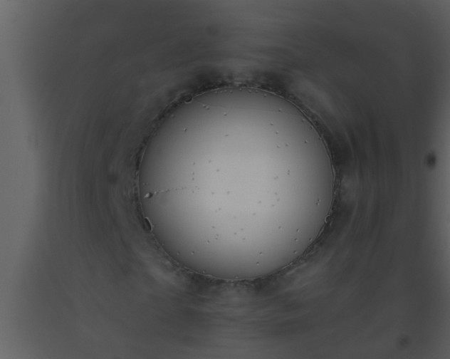 X0000093520865200710191330