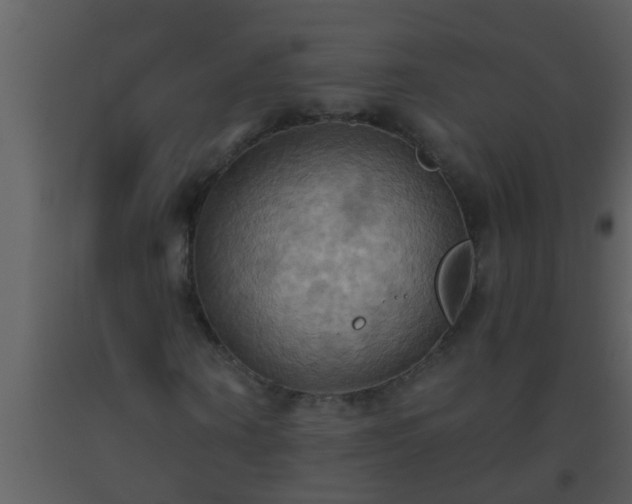 X0000093520866200710191330