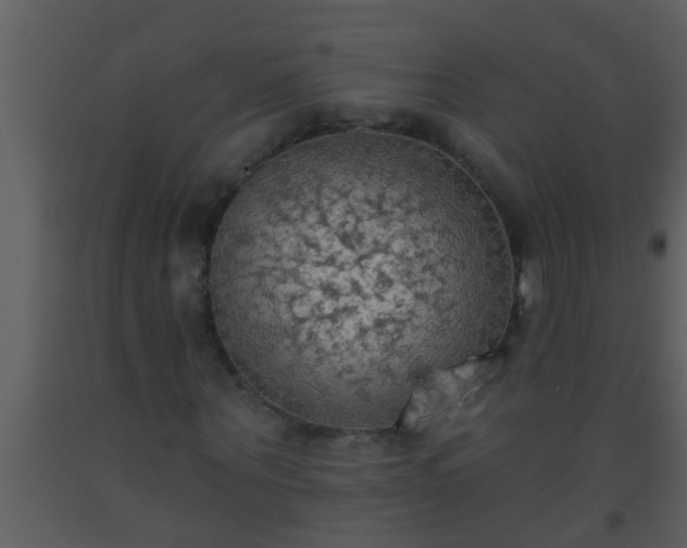 X0000093520867200710191330