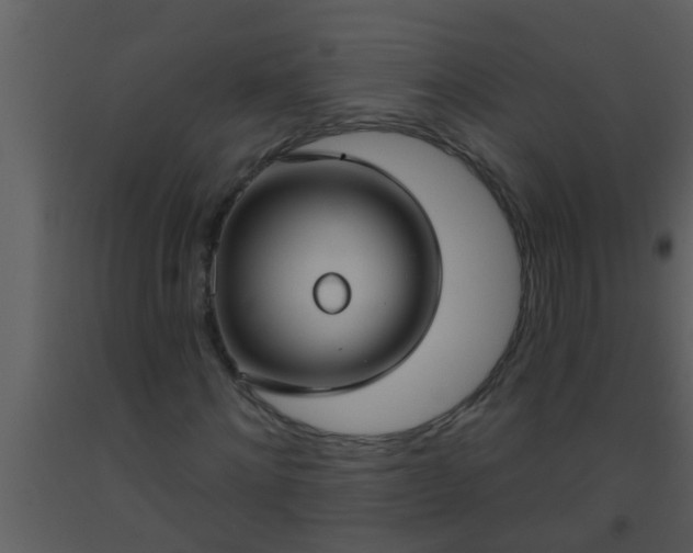 X0000093520868200710191330