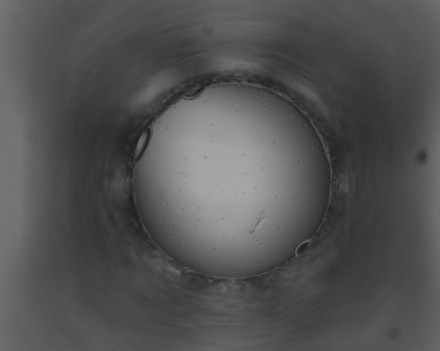 X0000093520869200710191330