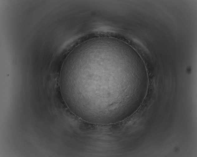 X0000093520870200710191330