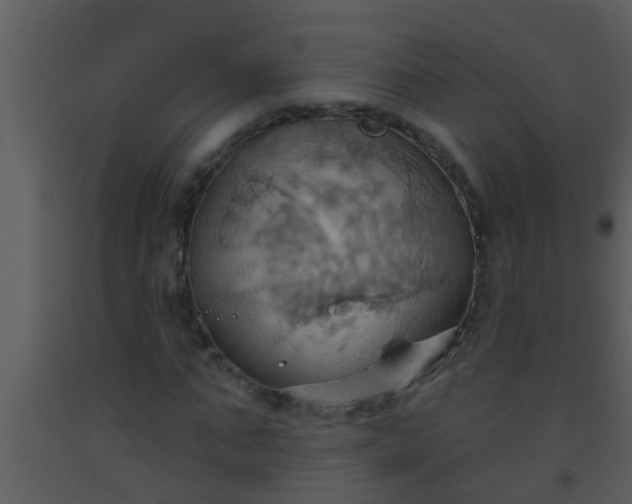 X0000093520871200710191330