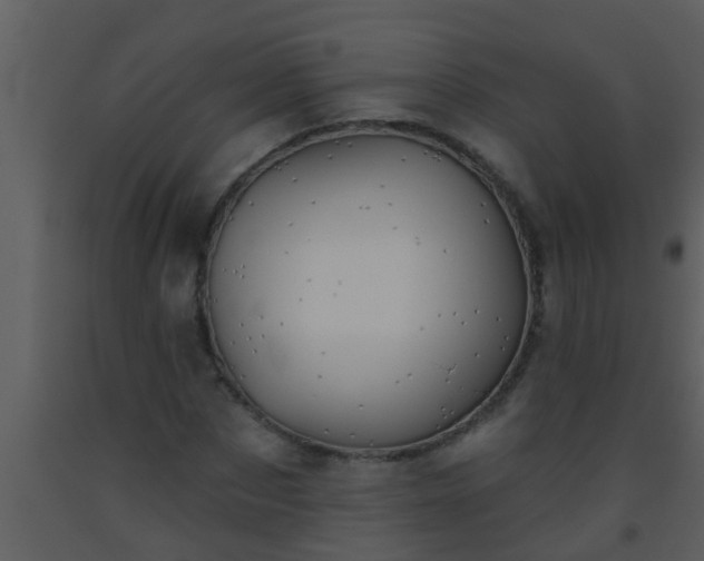 X0000093520873200710191330