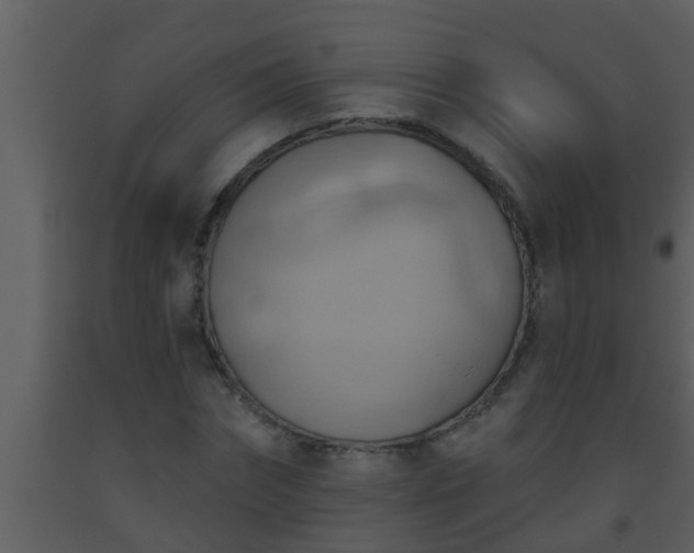 X0000093520874200710191330