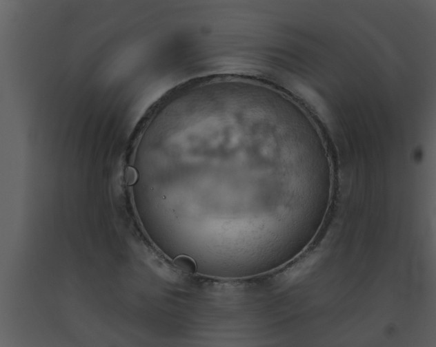 X0000093520875200710191330