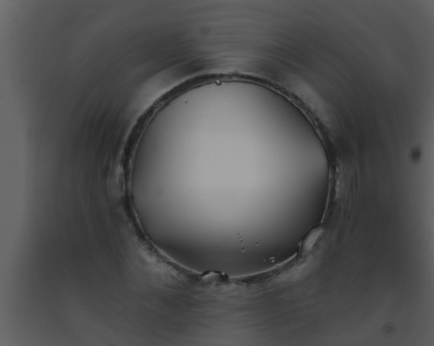 X0000093520876200710191330