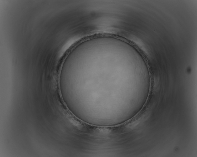 X0000093520878200710191330