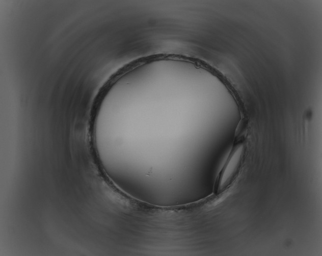 X0000093520880200710191330