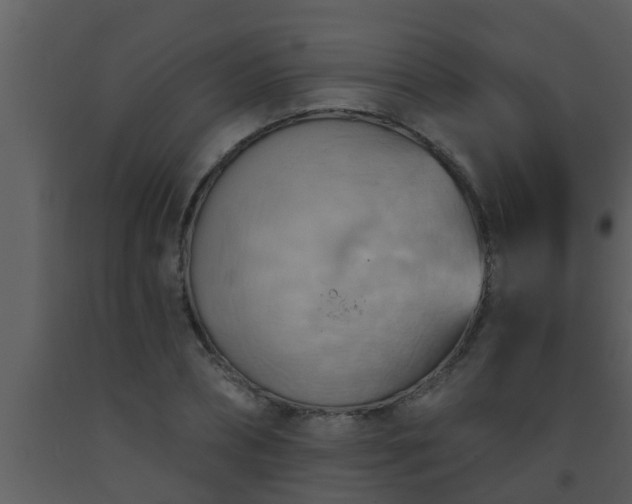 X0000093520882200710191330