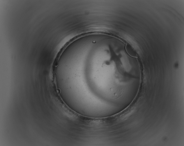 X0000093520883200710191330