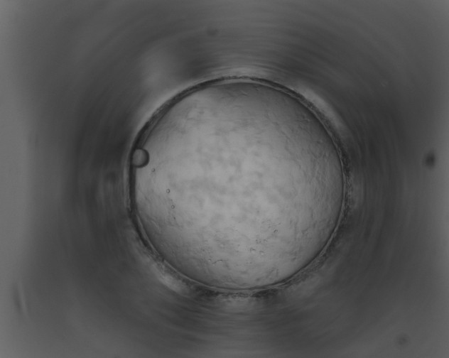 X0000093520886200710191330