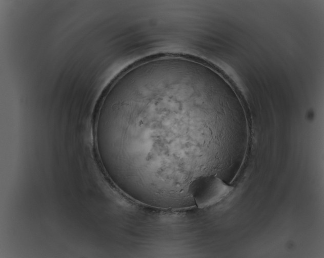 X0000093520887200710191330