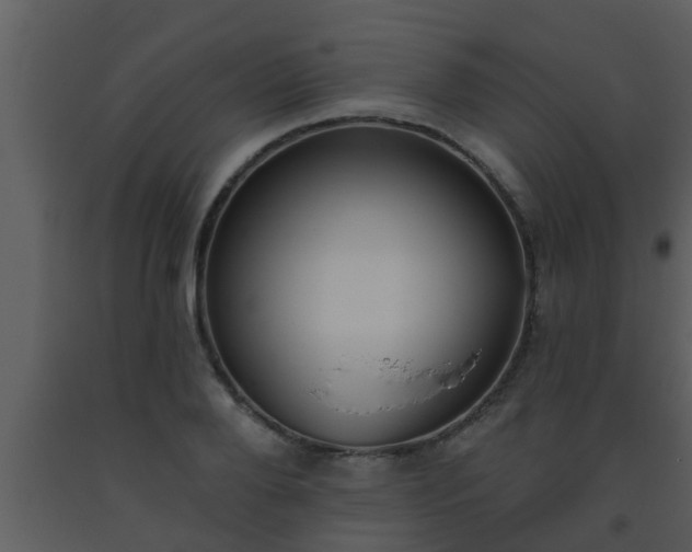 X0000093520888200710191330