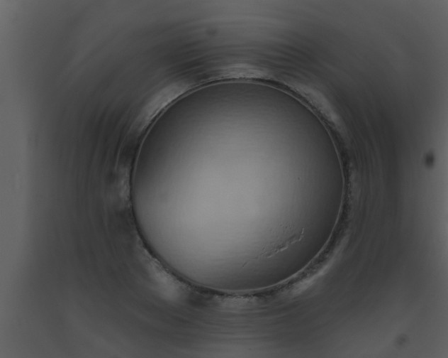 X0000093520889200710191330