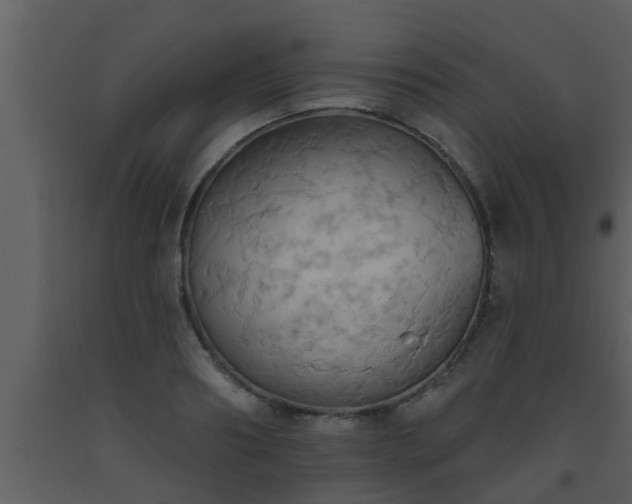 X0000093520890200710191330