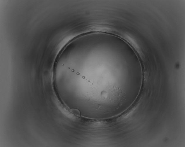 X0000093520891200710191330