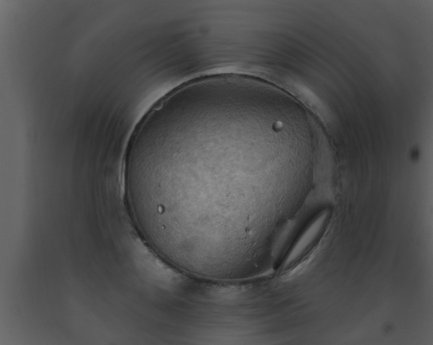 X0000093520892200710191330