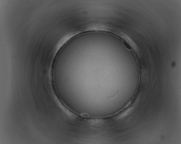 X0000093520893200710191330