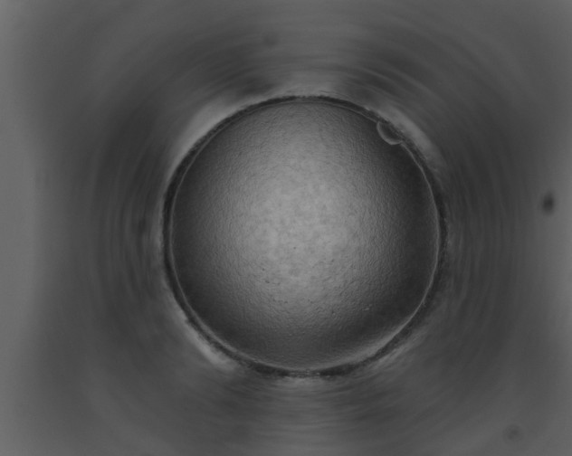 X0000093520894200710191330