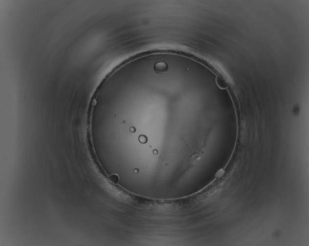 X0000093520895200710191330