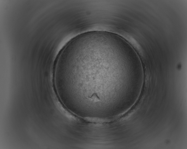 X0000093520896200710191330