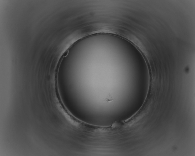 X0000093520898200710191330