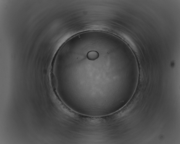 X0000093520899200710191330