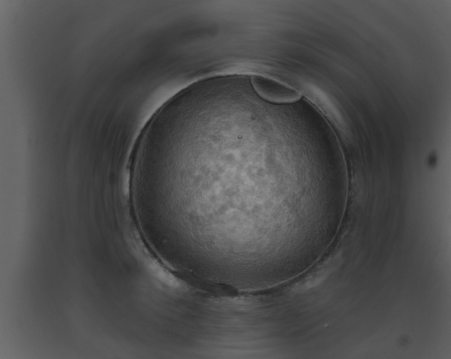 X0000093520900200710191330