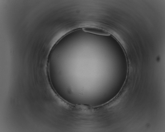 X0000093520901200710191330