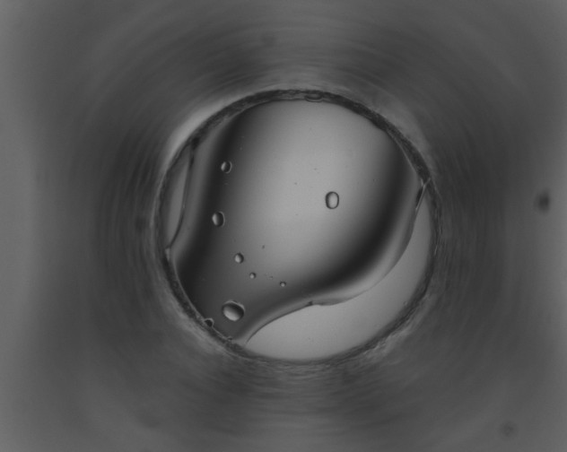 X0000093520928200710191329