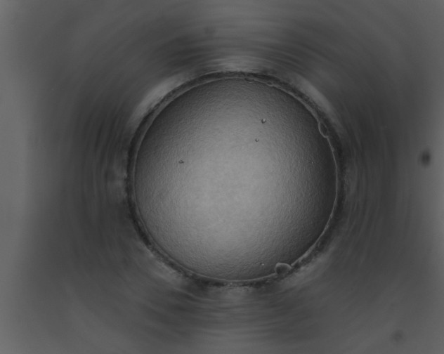 X0000093520930200710191329