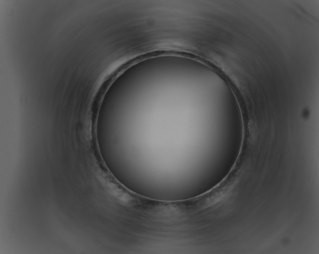 X0000093520931200710191329