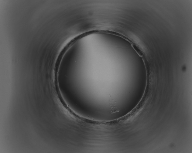 X0000093520932200710191329