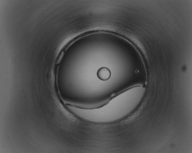 X0000093520936200710191329