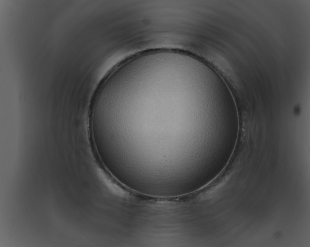 X0000093520942200710191329