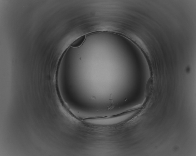 X0000093520946200710191329